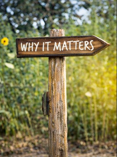 WhyItMatters WhyItMatters