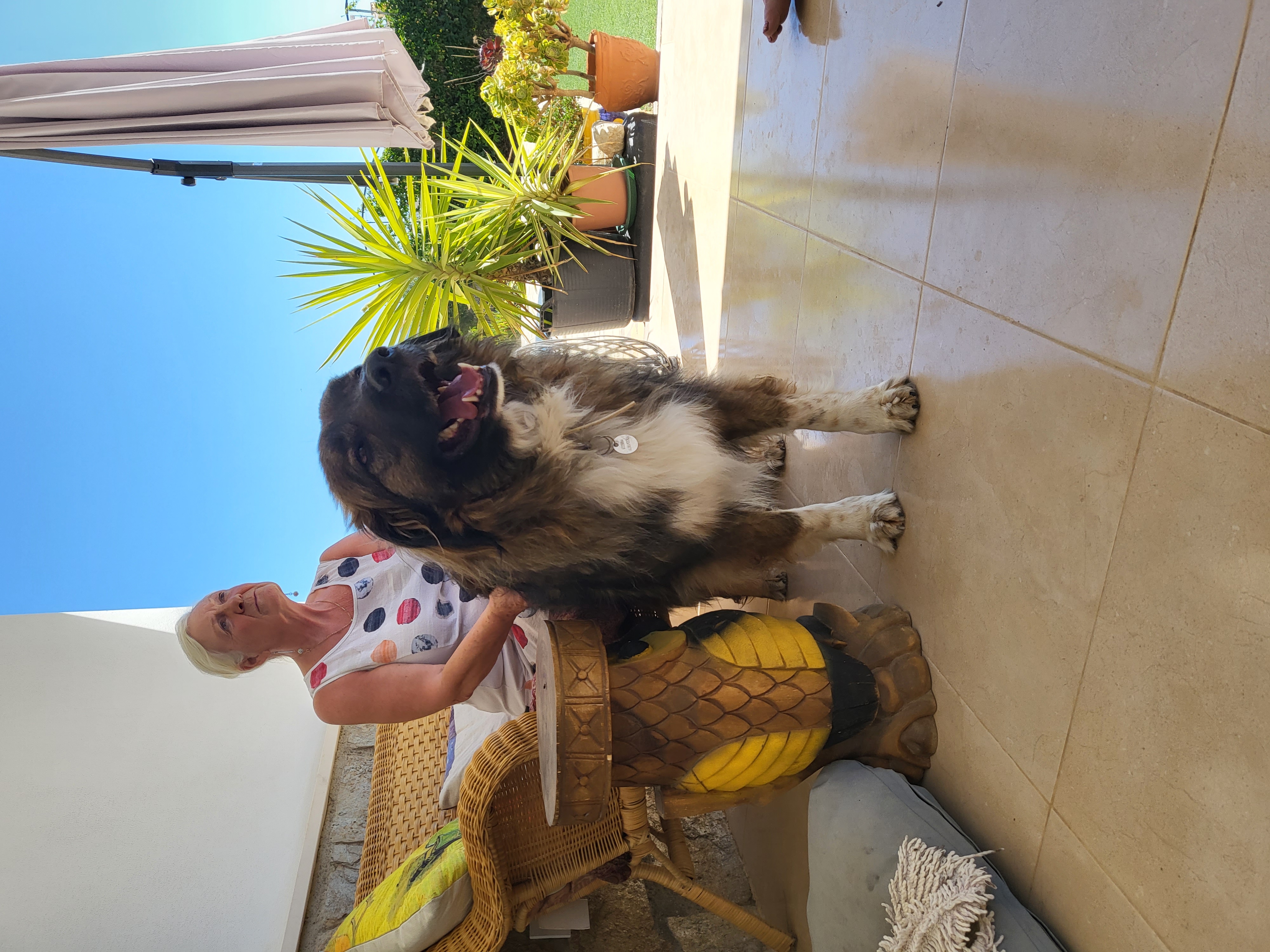 woman-thinking-new-life